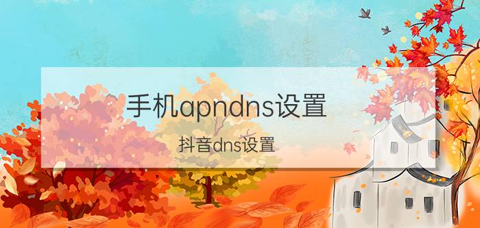 手机apndns设置 抖音dns设置？